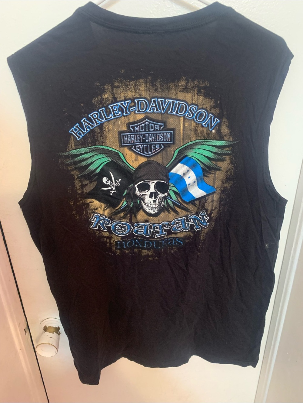 Harley-Davidson Black Tee with Green Wings and Blue Flag Skull Graphic